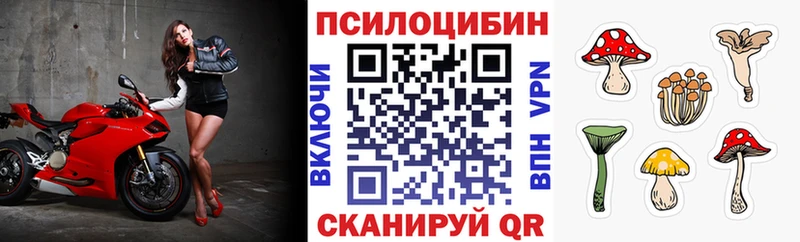 Псилоцибиновые грибы прущие грибы  Остров 